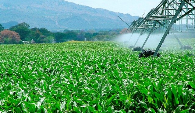Agricultura